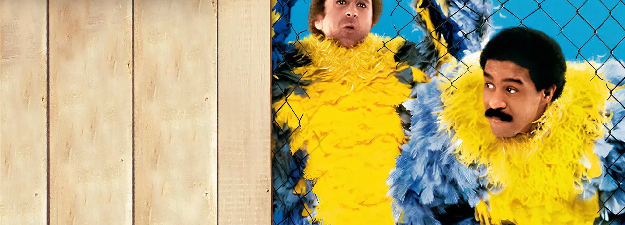 Stir Crazy