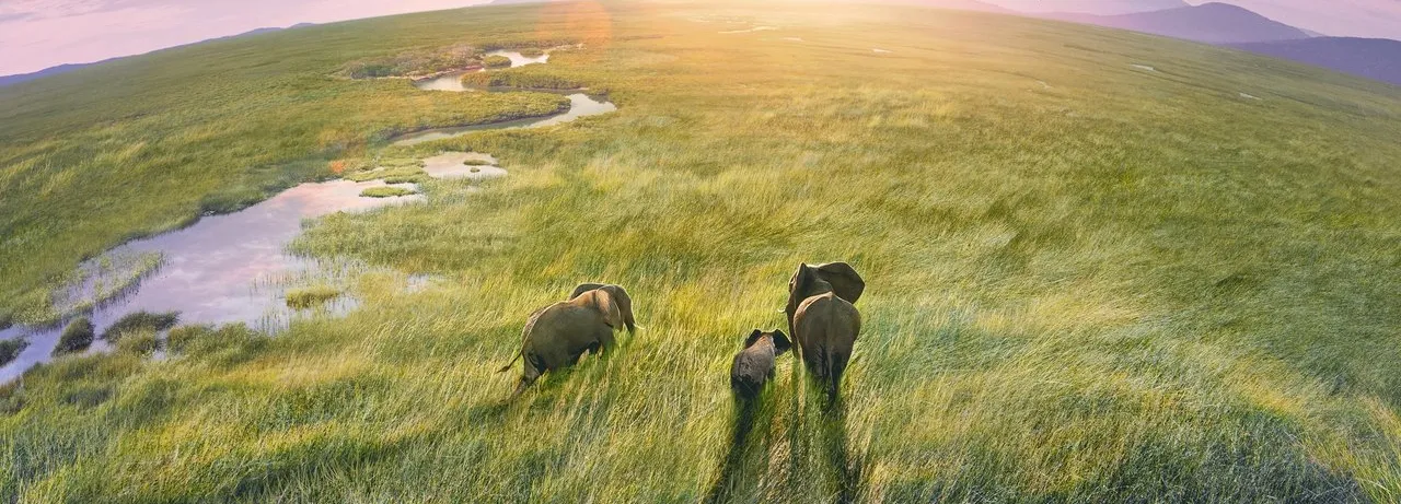 Planet Earth III
