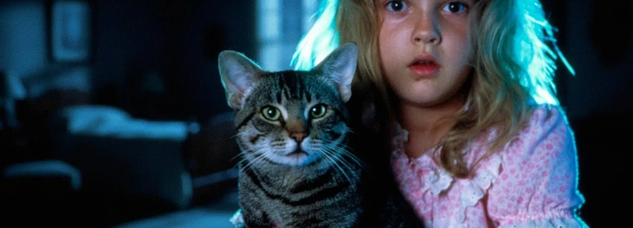 Cat's Eye