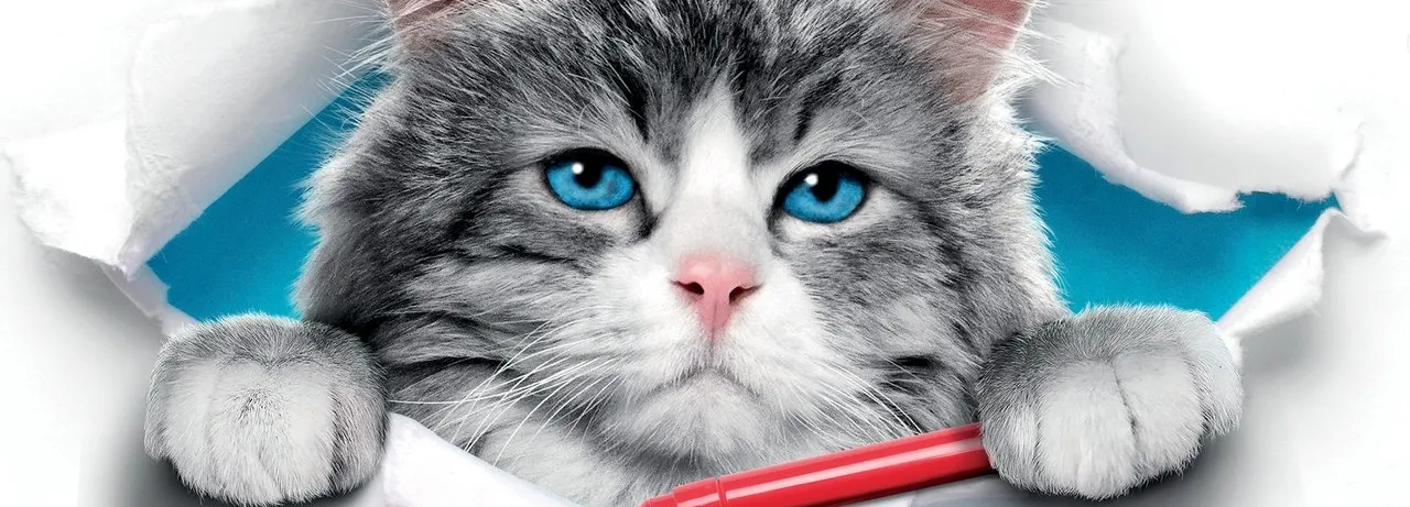 Nine Lives