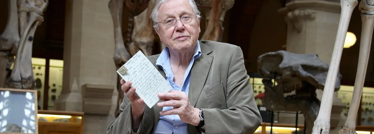 David Attenborough's Natural Curiosities