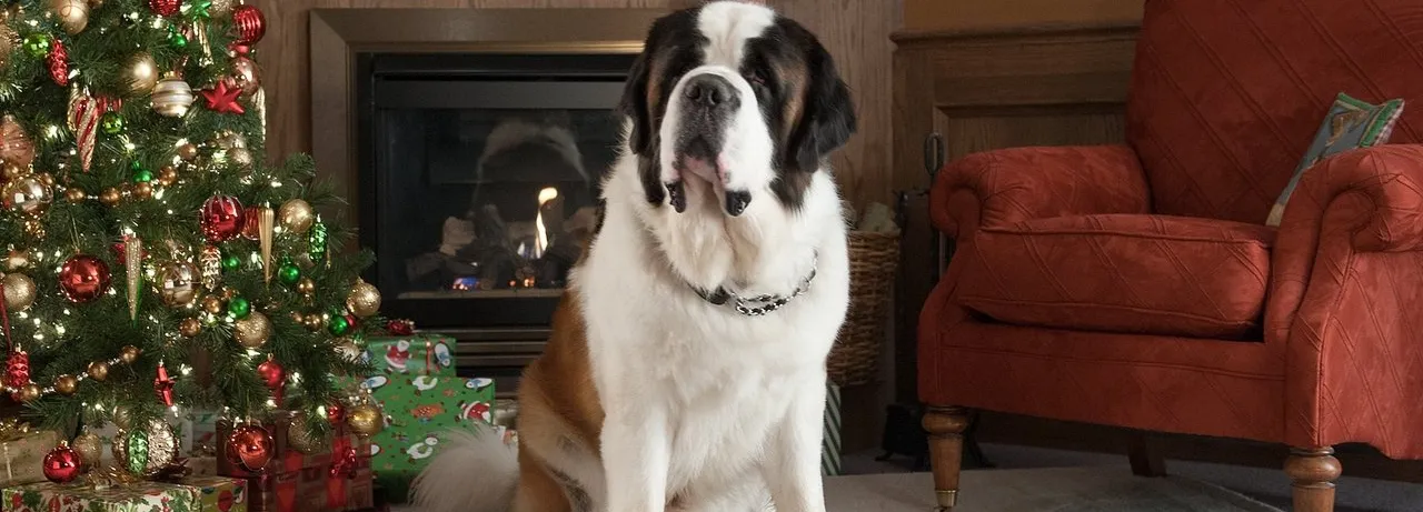 Beethoven's Christmas Adventure