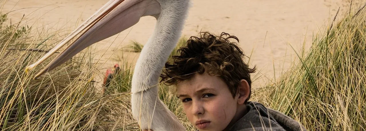Storm Boy