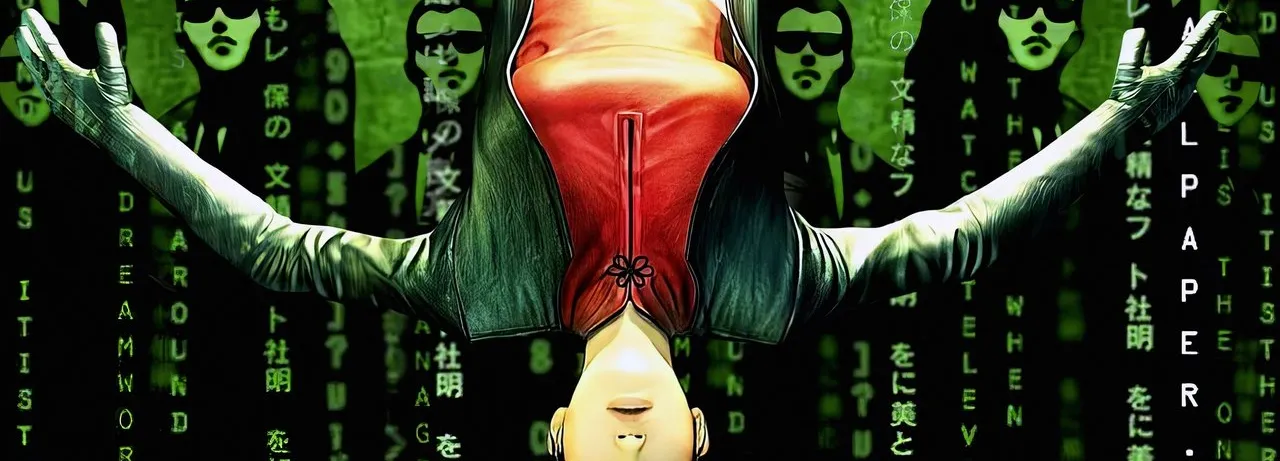 The Animatrix