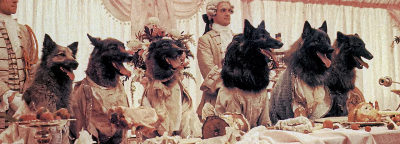 The Company of Wolves