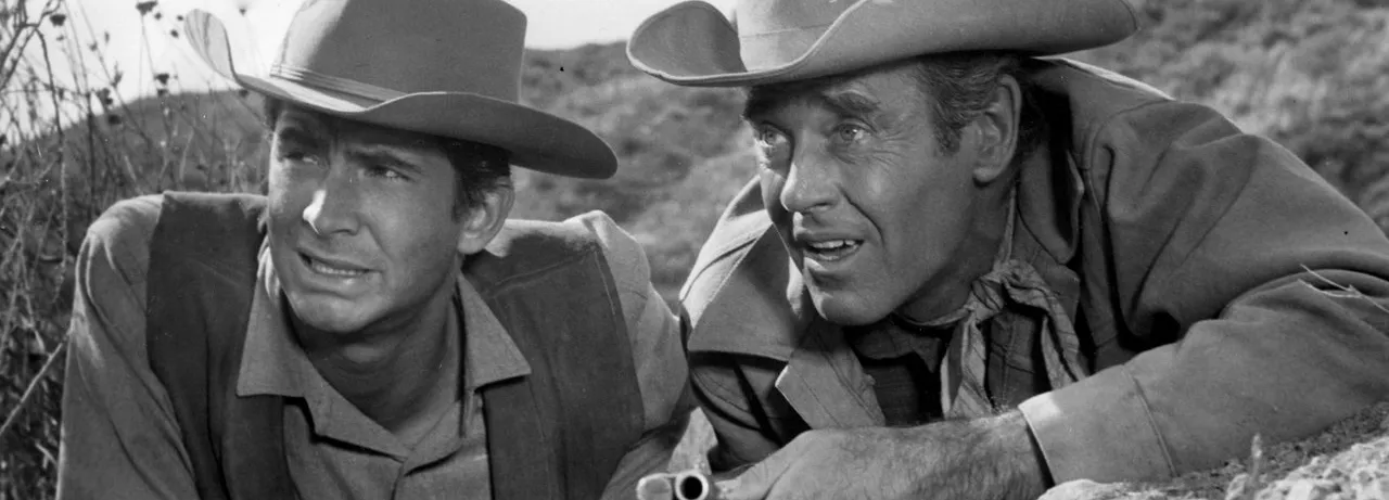 The Tin Star