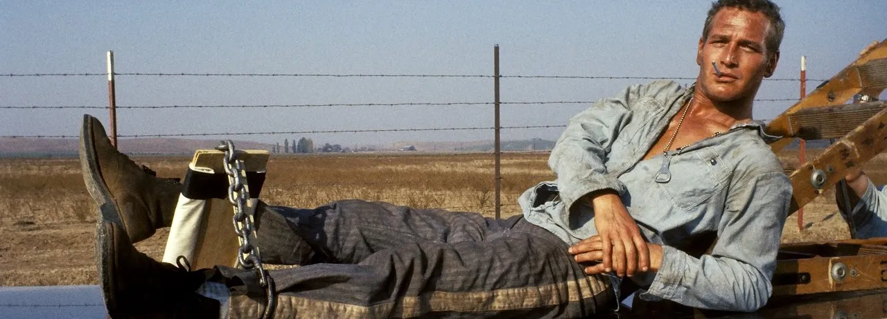 Cool Hand Luke