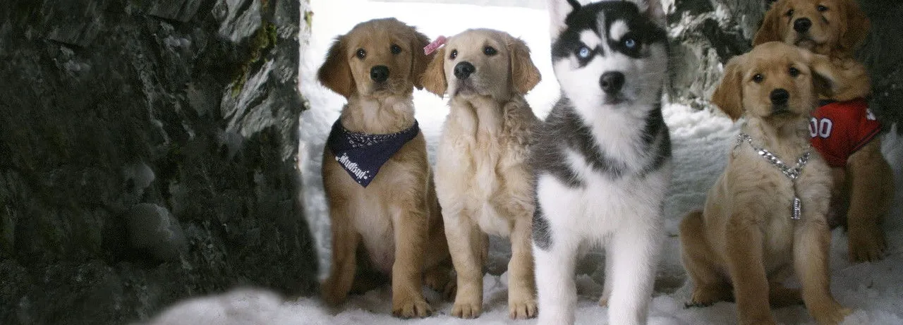 Snow Buddies