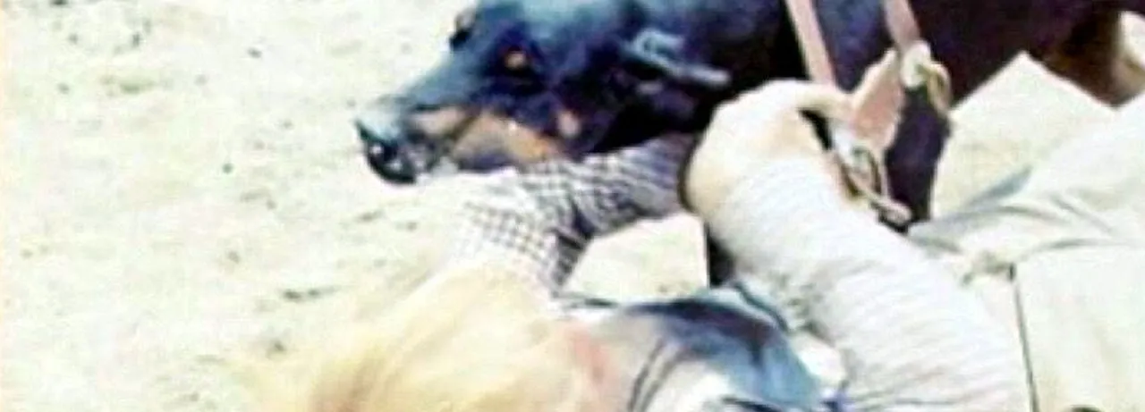 Mean Dog Blues