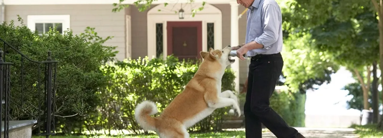 Hachi: A Dog's Tale