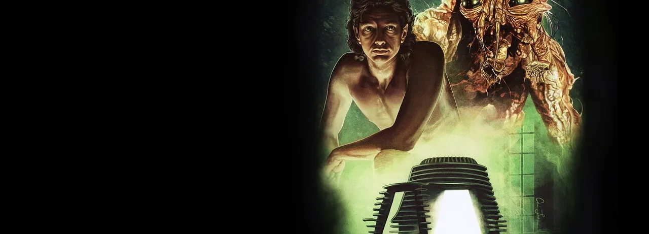 The Fly