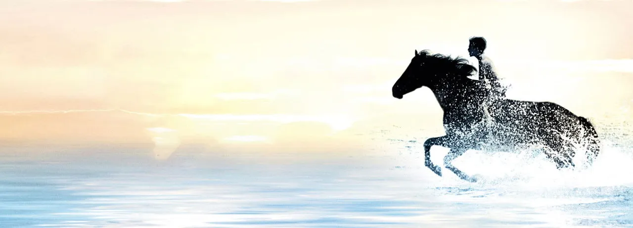 The Black Stallion