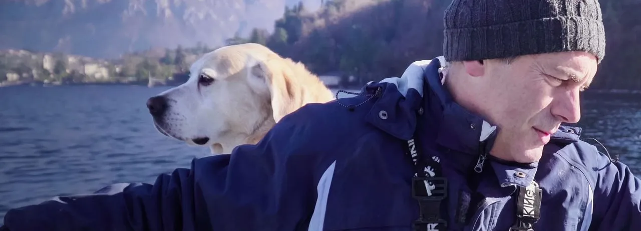 Dogs