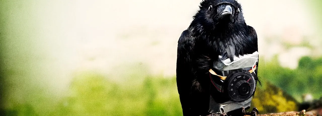 Four Lions