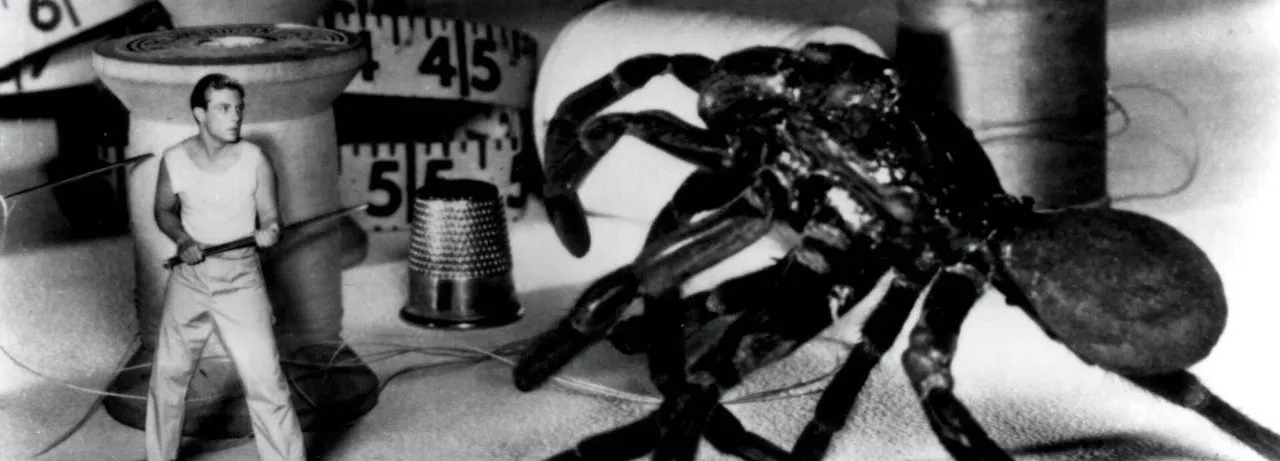 The Incredible Shrinking Man