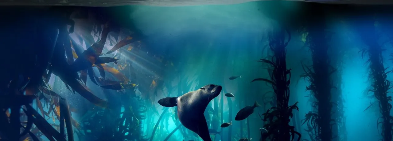 Blue Planet II