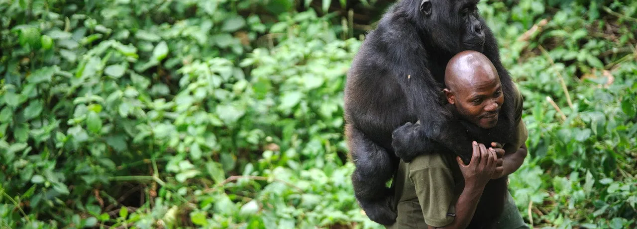 Virunga