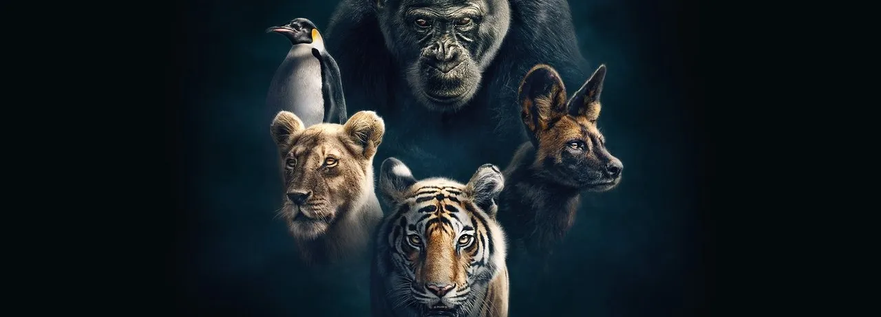 Dynasties