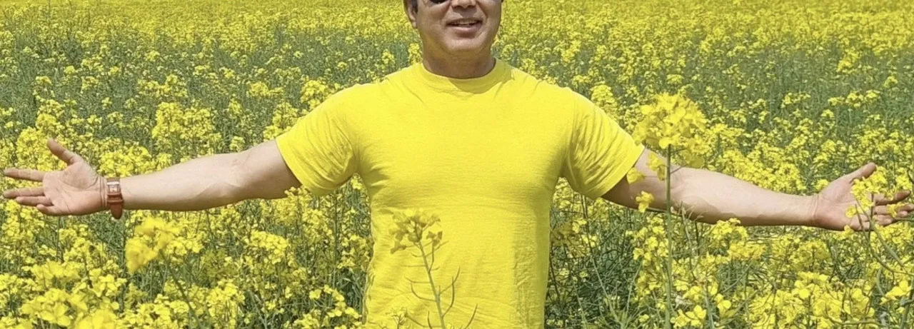 Mustard Fields