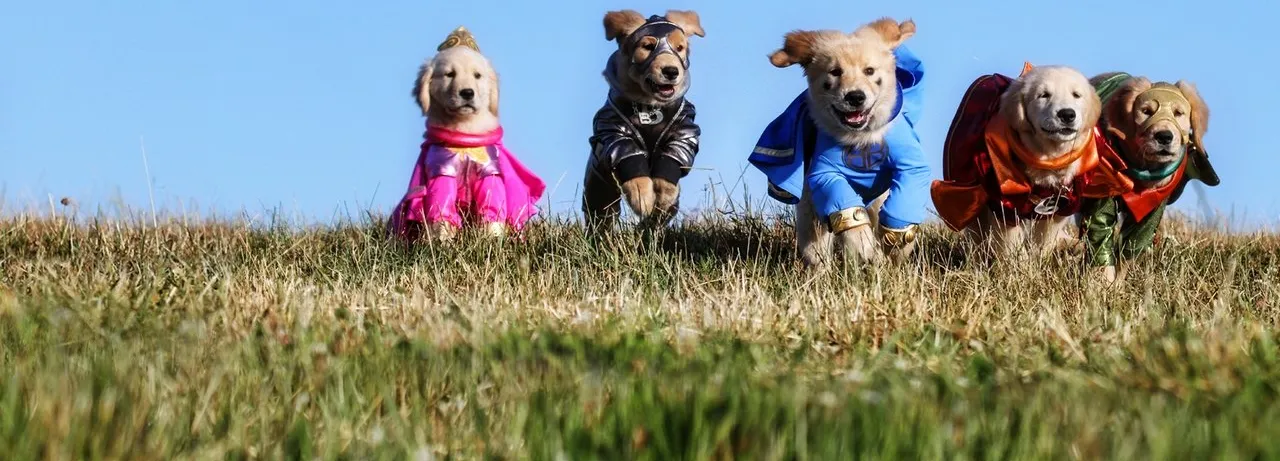 Super Buddies