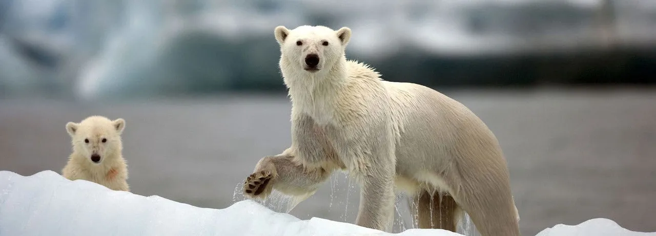 Nature's Great Events