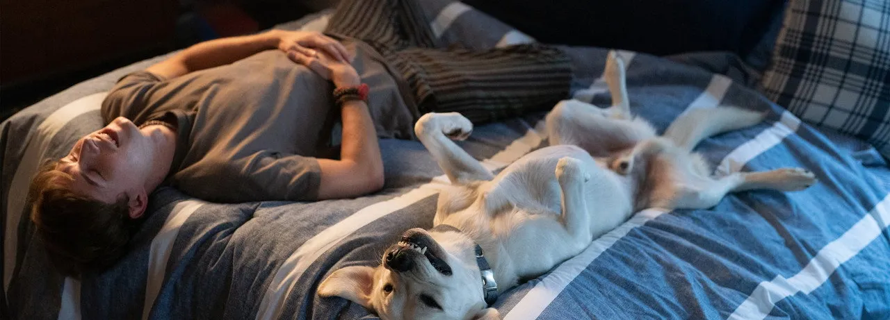 Dog Gone