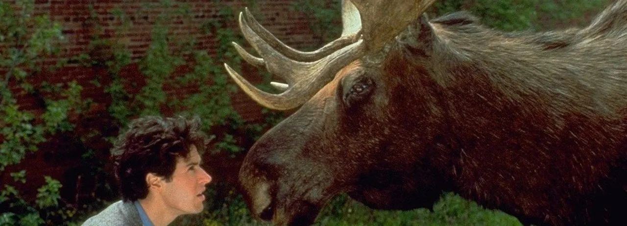 Northern Exposure