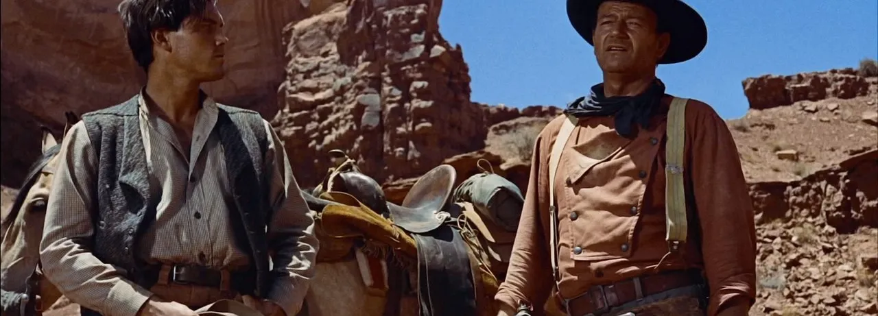 The Searchers