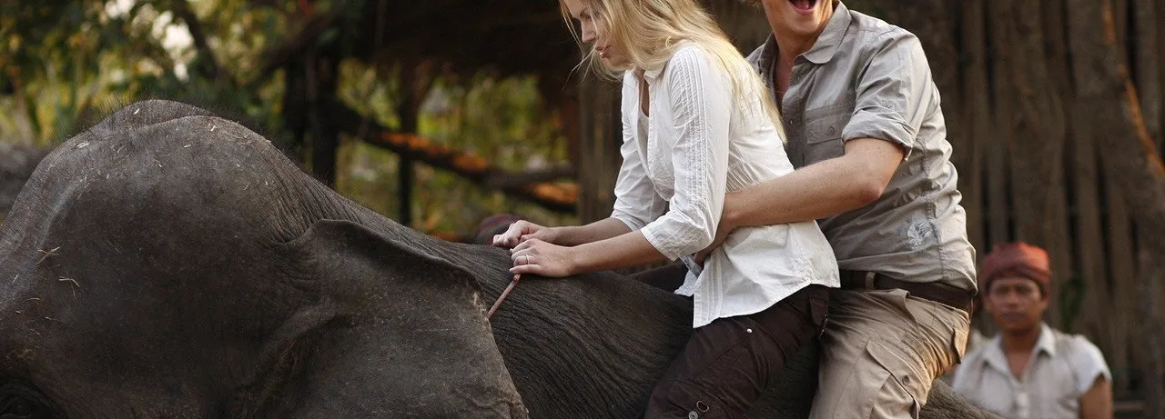 The Prince & Me 4: The Elephant Adventure