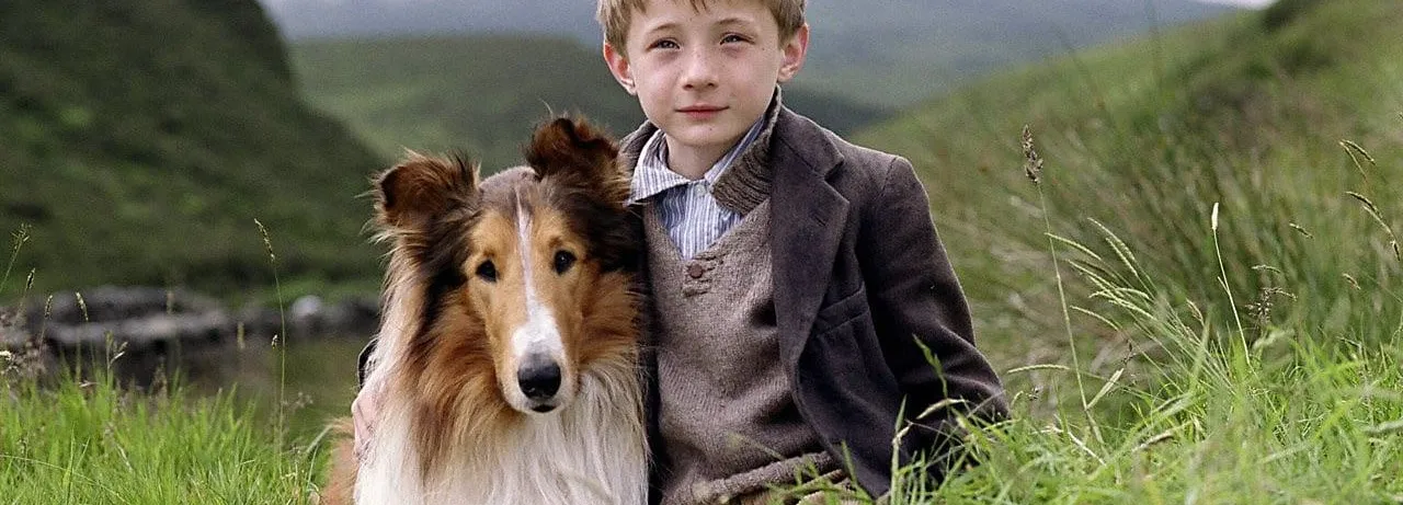 Lassie