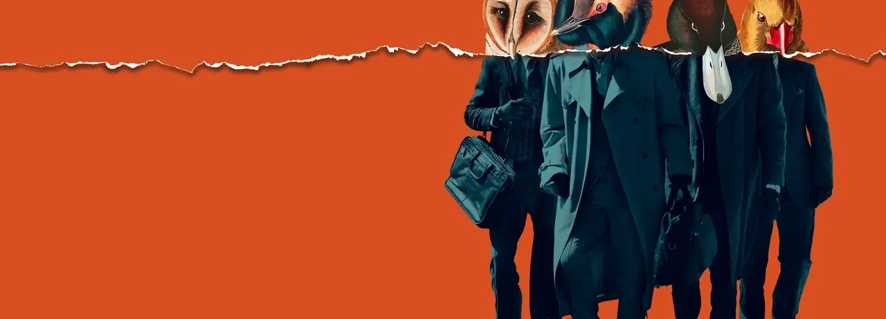 American Animals