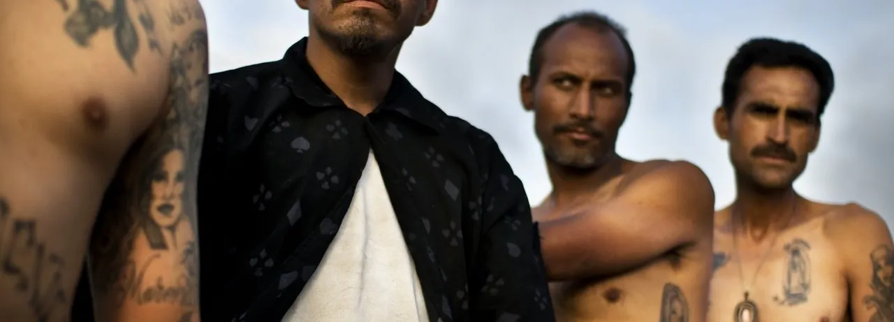 Narco Cultura