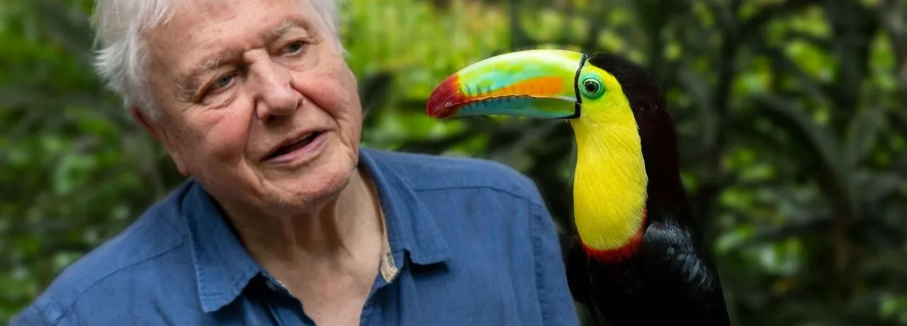 Attenborough's Life in Colour