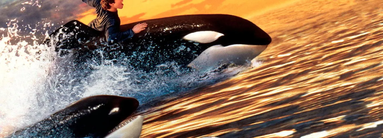 Free Willy 2: The Adventure Home