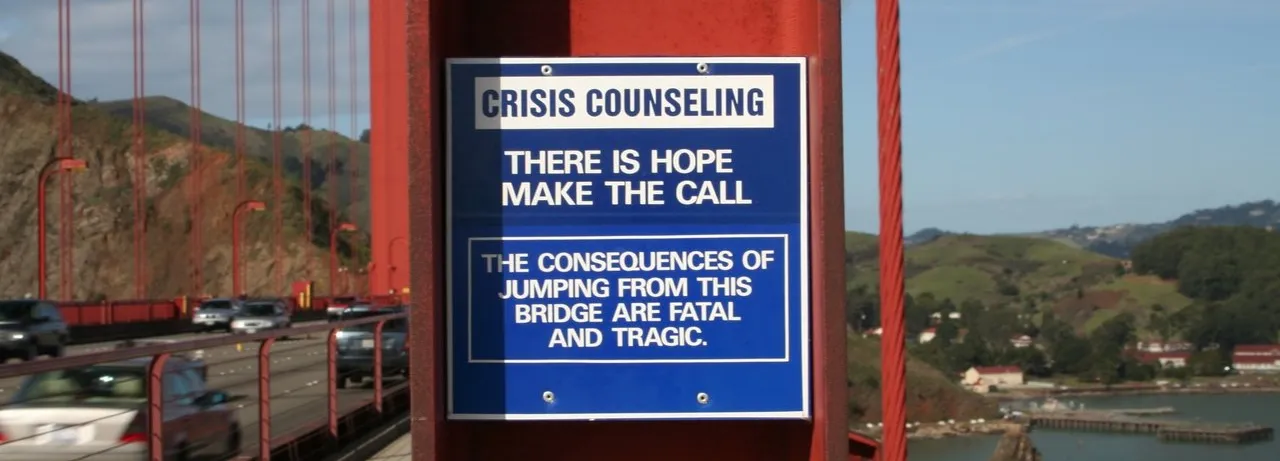 The Bridge