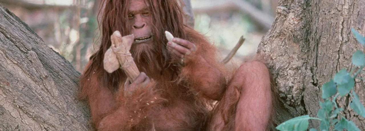 Missing Link