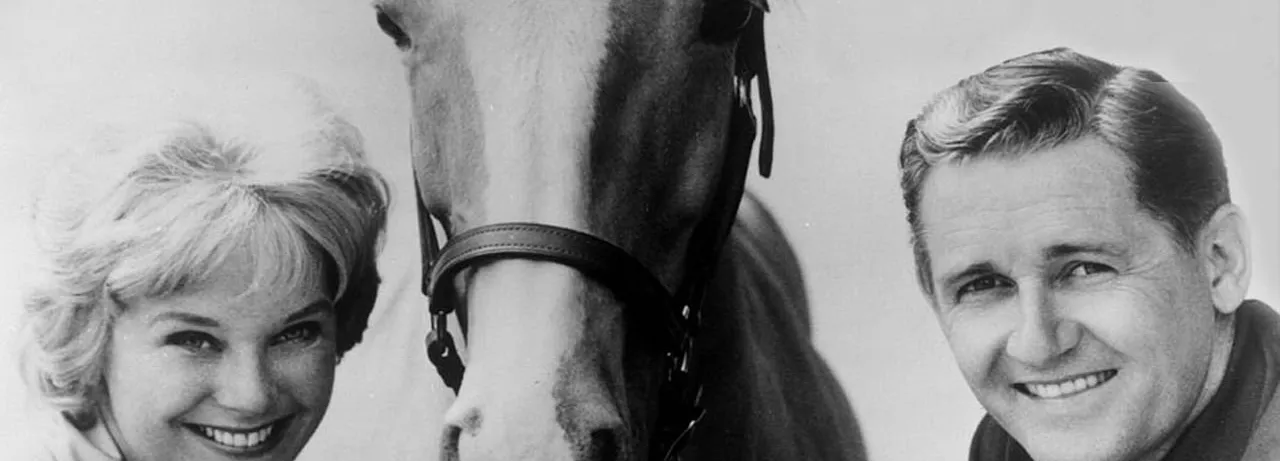 Mister Ed
