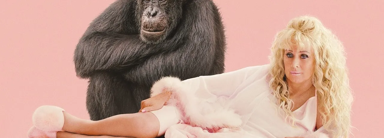 Chimp Crazy