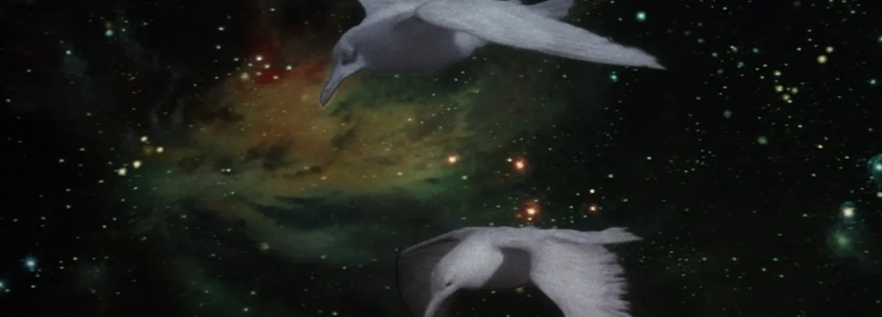 Jonathan Livingston Seagull