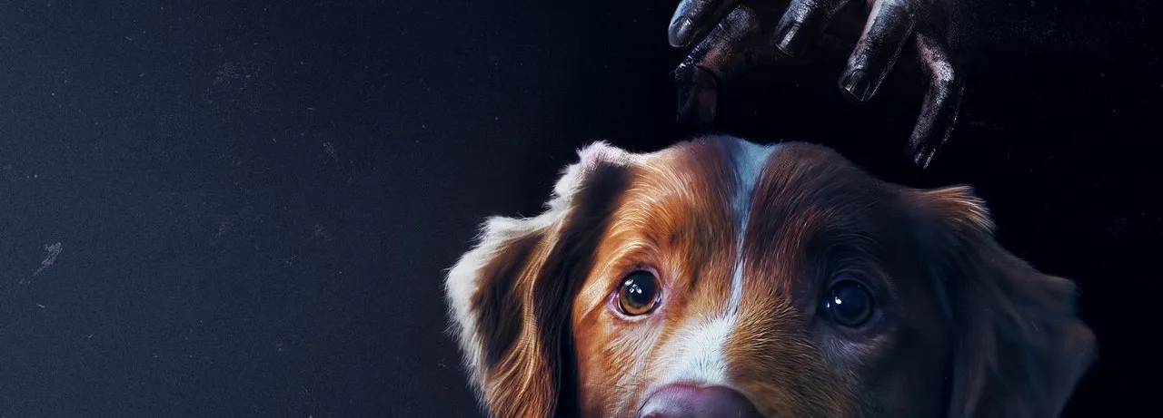 Good Boy