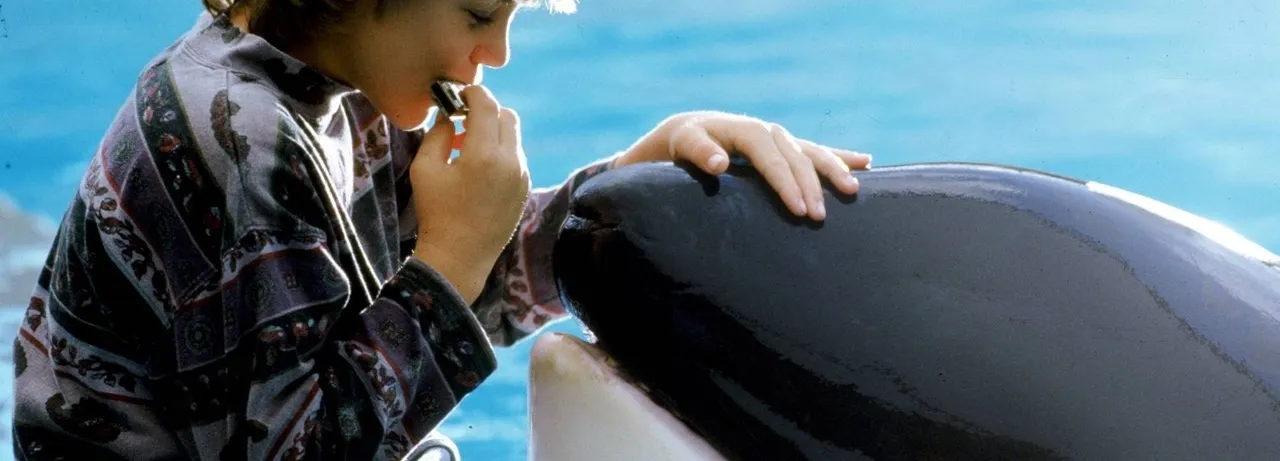 Free Willy