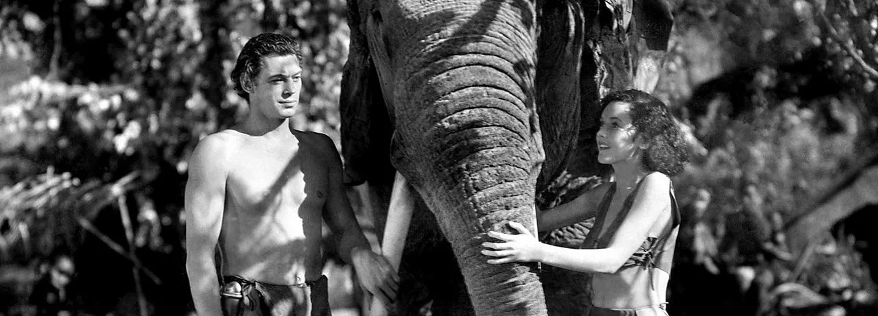 Tarzan and His Mate