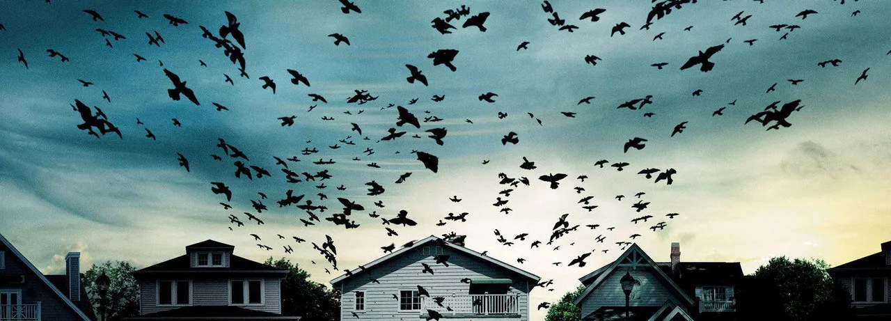 Dark Skies