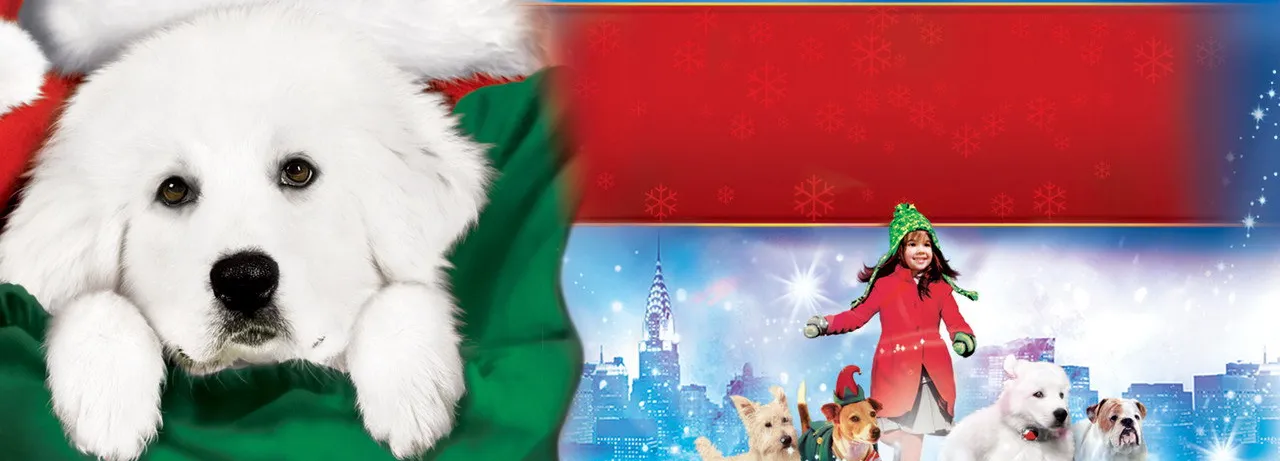 The Search for Santa Paws