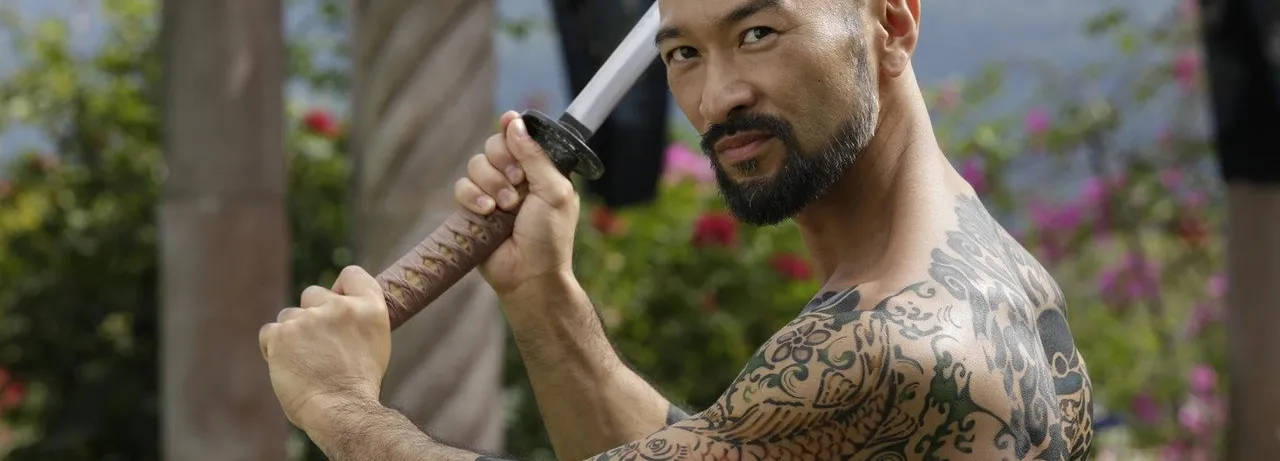 Falcon Rising