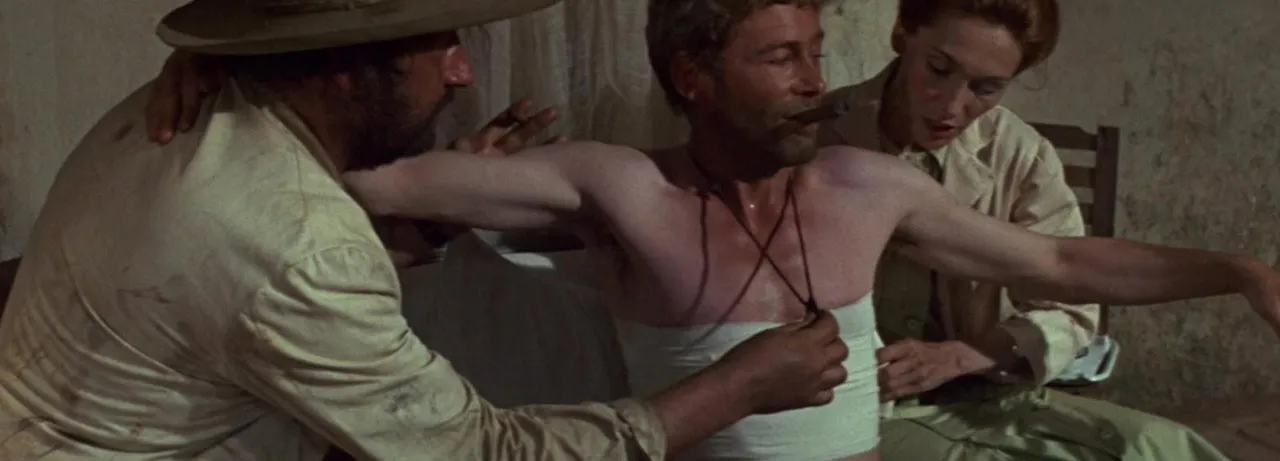Murphy's War