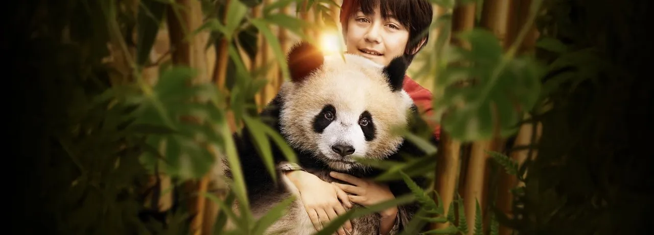 Moon the Panda