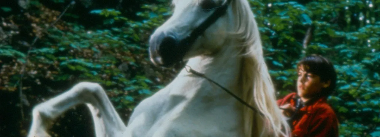 Nico the Unicorn