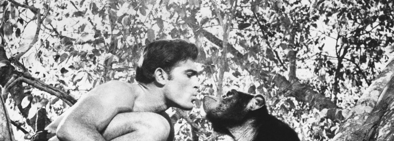 Tarzan and the Valley of Gold