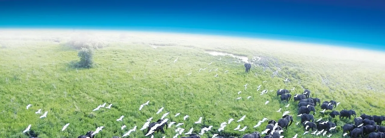 Planet Earth